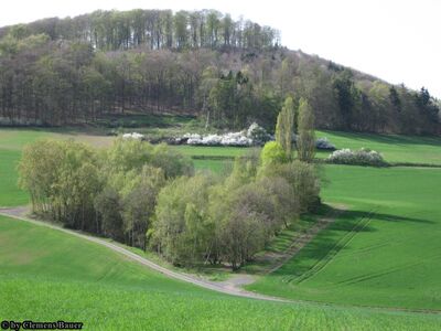 Klicken für Bild in voller Größe