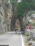 Dateiname=Mallorca_-_Strasse_zum_Torrent_de_Pareis_zwischen_Felsen.jpg
Dateigröße=225KB
Abmessungen: 768x1024
hinzugefügt am: 18. Mai 2012 Mallorca_-_Strasse_zum_Torrent_de_Pareis_zwischen_Felsen.jpg