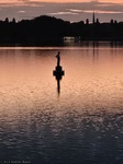 Dateiname=Hamburg_-_Bojenmann_auf_der_Aussenalster_im_Abendlicht.jpg
Dateigröße=313KB
Abmessungen: 768x1024
hinzugefügt am: 01. Juni 2024 Hamburg_-_Bojenmann_auf_der_Aussenalster_im_Abendlicht.jpg